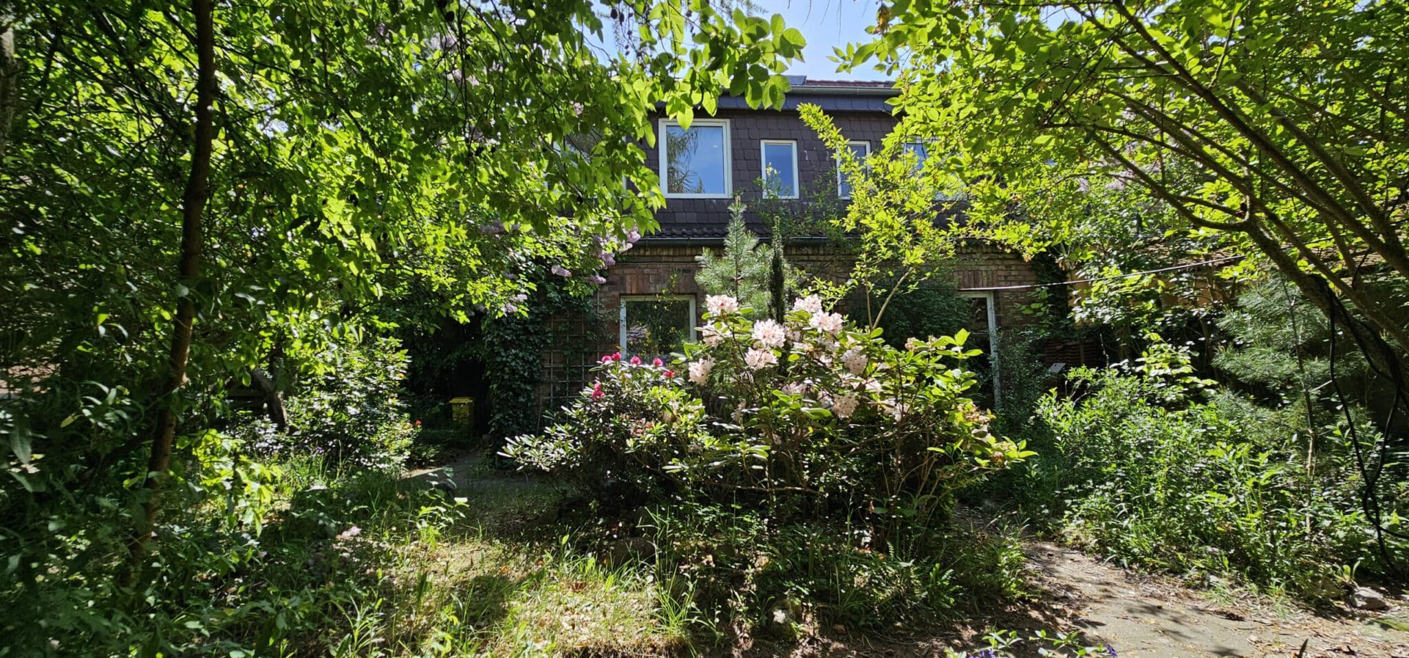 Gartenansicht einer unsanierten Doppelhaushälfte in Rostock-Alt Dierkow (Beispielansicht).