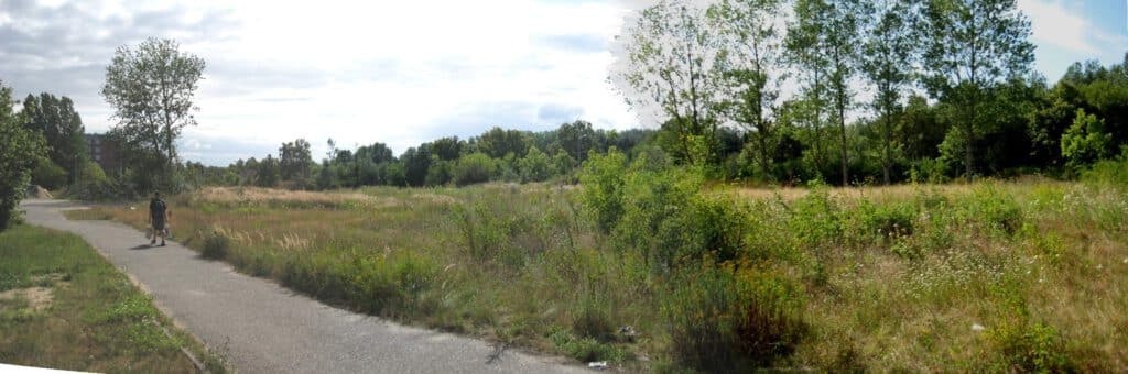 Panorama des unbebauten Grundstücks in Rostock-Groß Klein nahe dem IGA-Gelände – Referenzobjekt 80 – Büchel Immobilien Rostock