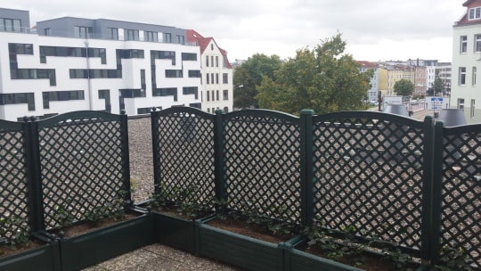 Dachterrasse der Mietwohnung in Rostock-KTV – Referenzobjekt 5372 – Büchel Immobilien