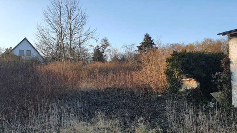 Ansicht des verwachsenen Erholungsgrundstücks in Stilow (Gemeinde Brünzow, 17509, Landkreis Vorpommern-Greifswald) – Referenzobjekt 5676 – Büchel Immobilien